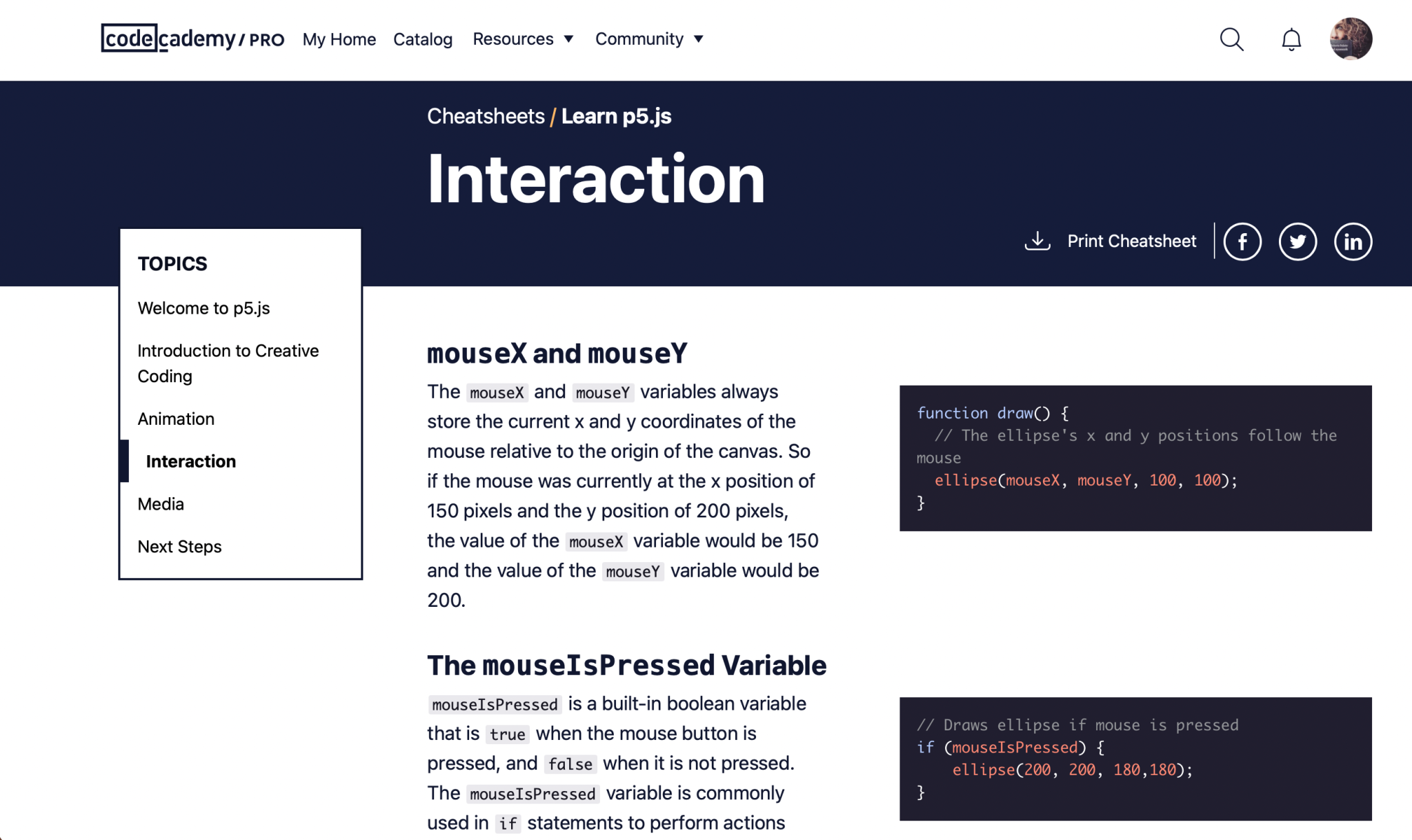 p5.js animation cheatsheet on Codecademy